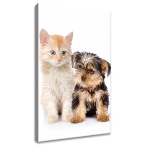 Gario Vászonkép Bűbájos kiskutya és cica Méretek (sz x m): 55 x 115 cm