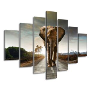 Gario Vászonkép Magányos erős elefánt Méretek (sz x m): 210 x 150 cm