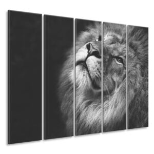 Gario Vászonkép Ezüst oroszlán Méretek (sz x m): 225 x 160 cm