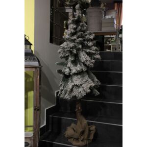 Havas karácsonyfa zsákban (m. 150 cm) méret