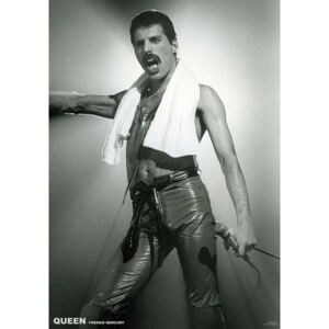 Queen (Freddie Mercury) - Live On Stage Plakát, (59,4 x 84 cm)