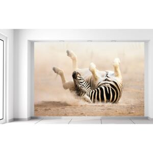 Gario Fotótapéta Boldog zebra 200x135cm Anyag: Latex (ragasztó ingyen)