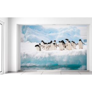 Gario Fotótapéta Pingvin csorda 200x135cm Anyag: Latex (ragasztó ingyen)