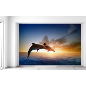 Gario Fotótapéta Ugrándozó delfinek 200x135cm Anyag: Latex (ragasztó ingyen)