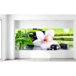 Gario Fotótapéta Fehér orchidea és kövek Méretek (sz x m): 268 x 100 cm, Anyag: Latex (ragasztó ingyen)