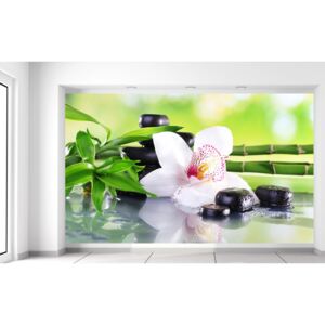 Gario Fotótapéta Fehér orchidea és kövek Méretek (sz x m): 412 x 248 cm, Anyag: Latex (ragasztó ingyen)