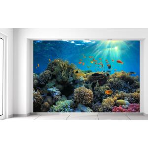 Gario Fotótapéta Gyönyörű korallzátony 200x135cm Anyag: Latex (ragasztó ingyen)