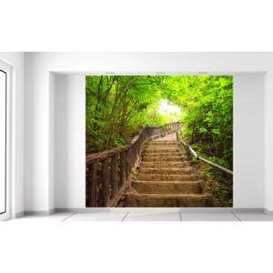 Gario Fotótapéta Thaiföldi erdőben lévő lépcső Méretek (sz x m): 268 x 240 cm, Anyag: Latex (ragasztó ingyen)