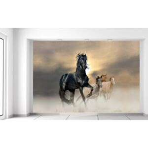 Gario Fotótapéta Gyönyörű fekete ló Méretek (sz x m): 200 x 135 cm, Anyag: Latex (ragasztó ingyen)