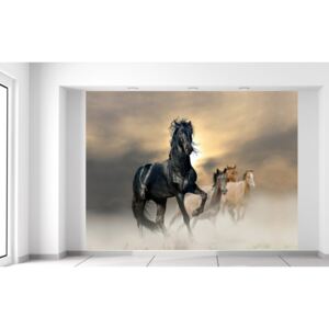 Gario Fotótapéta Gyönyörű fekete ló Méretek (sz x m): 200 x 150 cm, Anyag: Latex (ragasztó ingyen)