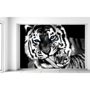 Gario Fotótapéta Feketefehér tigris és kistigris Méretek (sz x m): 200 x 135 cm, Anyag: Latex (ragasztó ingyen)
