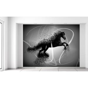 Gario Fotótapéta Fekete-fehér ló - Jakub Banas Méretek (sz x m): 200 x 150 cm, Anyag: Latex (ragasztó ingyen)