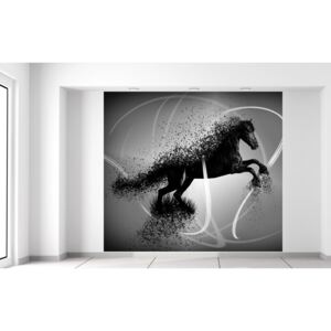 Gario Fotótapéta Fekete-fehér ló - Jakub Banas Méretek (sz x m): 268 x 240 cm, Anyag: Latex (ragasztó ingyen)