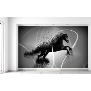 Gario Fotótapéta Fekete-fehér ló - Jakub Banas Méretek (sz x m): 412 x 248 cm, Anyag: Latex (ragasztó ingyen)