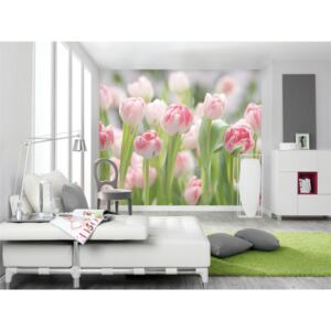 Secret Garden - Tulipán - virágmintás fotó poszter tapéta