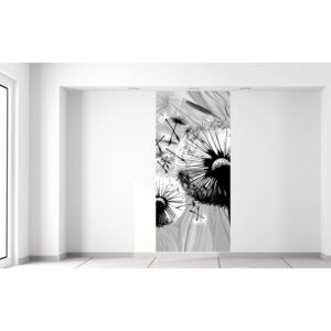 Gario Fotótapéta Gyönyörű feketefehér pitypangok Méretek (sz x m): 95 x 205 cm, Anyag: Latex (ragasztó ingyen)