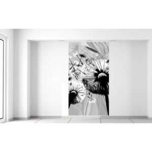 Gario Fotótapéta Gyönyörű feketefehér pitypangok Méretek (sz x m): 110 x 200 cm, Anyag: Latex (ragasztó ingyen)