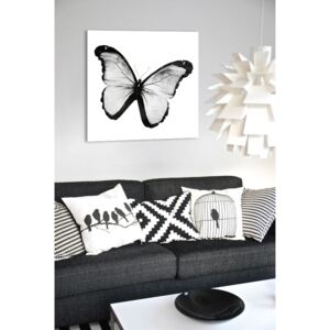 Tükor falikép Fehér Pillangó Mirrora 21 - 50x50 cm (Képek)