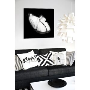 Tükor falikép Fehér Pillangó 3D Mirrora 23 - 50x50 cm (Képek)