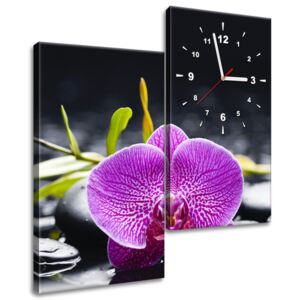 Gario Órás falikép Orchidea 60x60cm HD nyomtatás