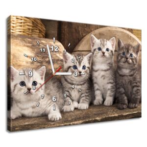 Gario Órás falikép Brit macskák Méretek (sz x m): 60 x 40 cm