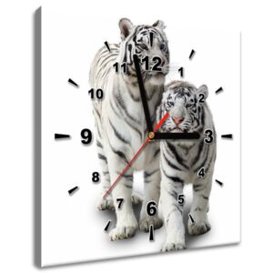 Gario Órás falikép Fehér tigrisek Méretek (sz x m): 30 x 30 cm