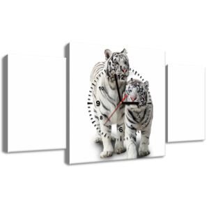 Gario Órás falikép Fehér tigrisek 80x40cm HD nyomtatás