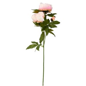 FLORISTA babarózsa rózsa 70cm