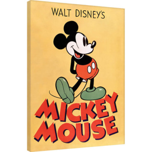 Vászonkép Miki Egér (Mickey Mouse) - Mickey, (60 x 80 cm)