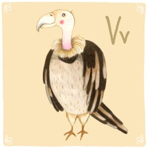 Alphabet - Vulture, (128 x 128 cm)