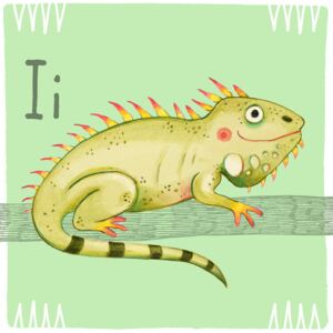 Alphabet - Iguana, (128 x 128 cm)