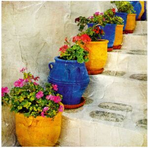 Flower Pots And Stairs virágmintás kép, 45 x 45 cm
