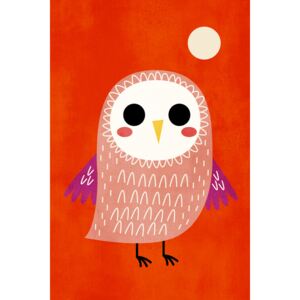 Ábra Little Owl, Kubistika