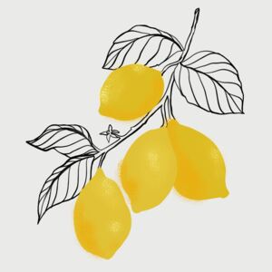Ábra Lamya lemons, Blursbyai