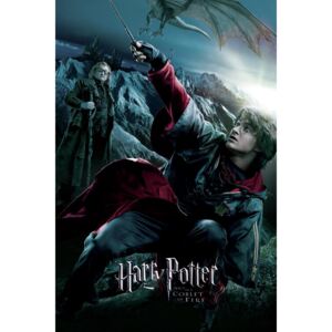 Plakát Harry Potter - A Tűz Serlege - Harry