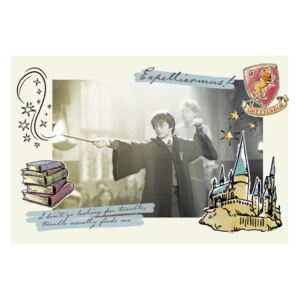 Plakát Harry Potter - Expelliarmus