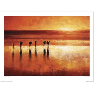 Jonathan Sanders - Camel Crossing Festmény reprodukció, (50 x 70 cm)