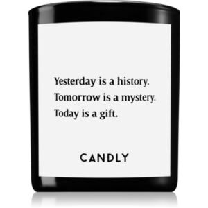Candly & Co. Yesterday is a history illatos gyertya 250 g