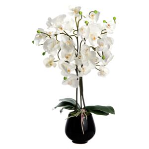 WJ.Orchidea fehér 53cm