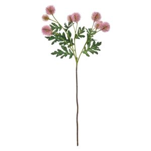 FLORISTA bogáncs ág, rózsaszín 60 cm