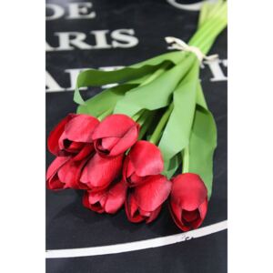 Kytic tulipánov červená