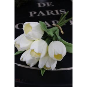 Kytička tulipánov biela