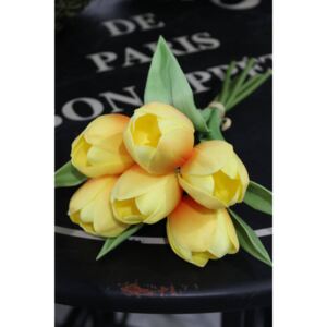 Kytička tulipánov žltá