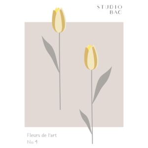 Ábra Tulips Studio Bac, 1x Studio II