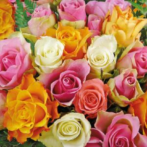 AMB.13308370 Colourful Roses papírszalvéta 33x33cm,20db-os
