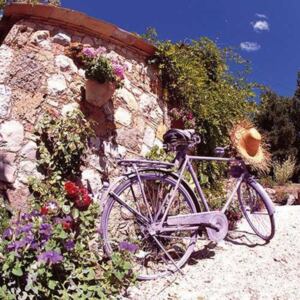 AMB.13311250 Bike In Provence papírszalvéta 33x33cm, 20db-os