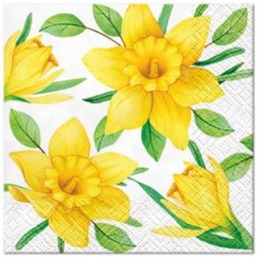 P.W.SDC121700 Daffodils in Bloom papírszalvéta 25x25cm,20-db-os