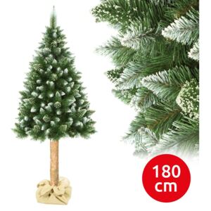 Elma Karácsonyfa tönkön 180 cm fenyőfa EA0009