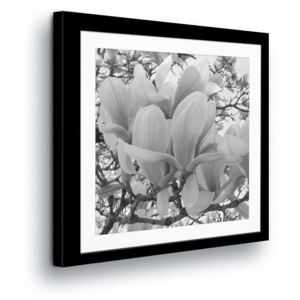 Vászonkép GLIX - White Flowers in Gray Tone in the Passepartout 80x80 cm