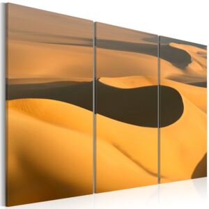 Vászonkép Bimago - Endless desert 60x40 cm